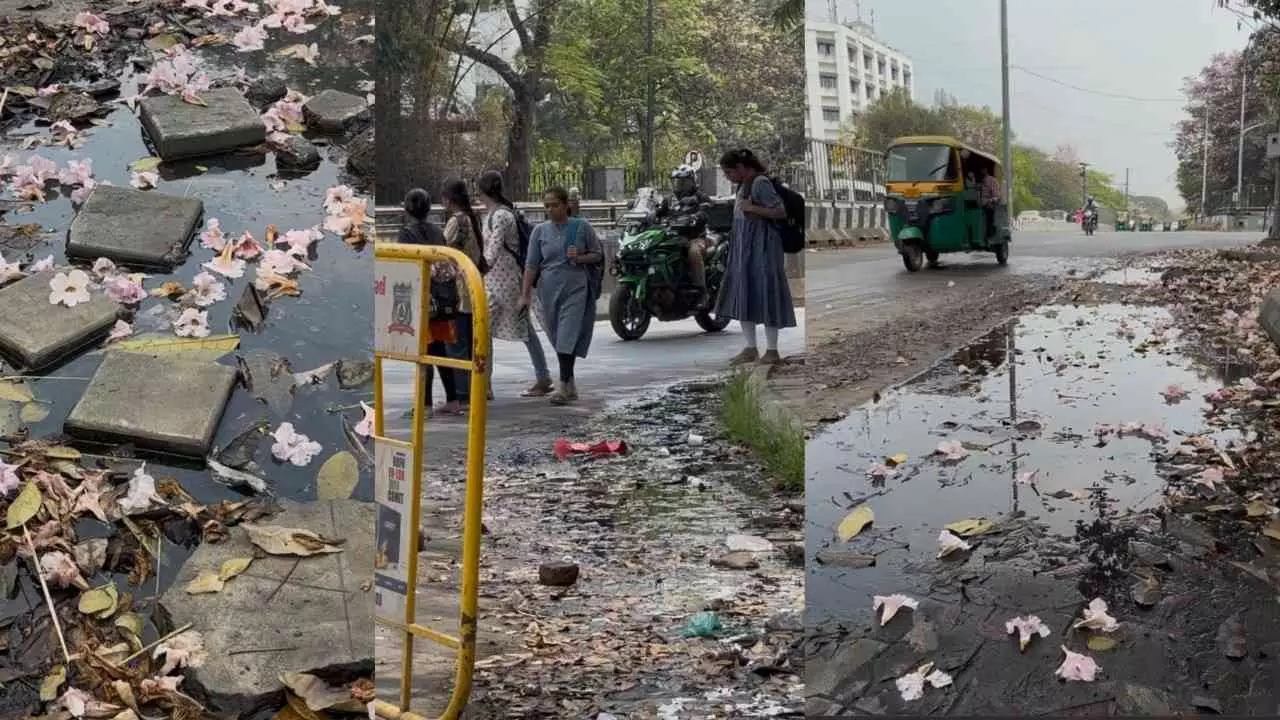 ಗ್ರೀನ್ ಸಿಟಿ ಈಗ ಗಲೀಜು ಸಿಟಿ! ವಿಧಾನಸೌಧದ ಕೂಗಳತೆ ದೂರದಲ್ಲಿ ಕೊಚ್ಚೆ ಭಾಗ್ಯ ಗ್ರೀನ್ ಸಿಟಿ ಈಗ ಗಲೀಜು ಸಿಟಿ! ವಿಧಾನಸೌಧದ ಕೂಗಳತೆ ದೂರದಲ್ಲಿ ಕೊಚ್ಚೆ ಭಾಗ್ಯ