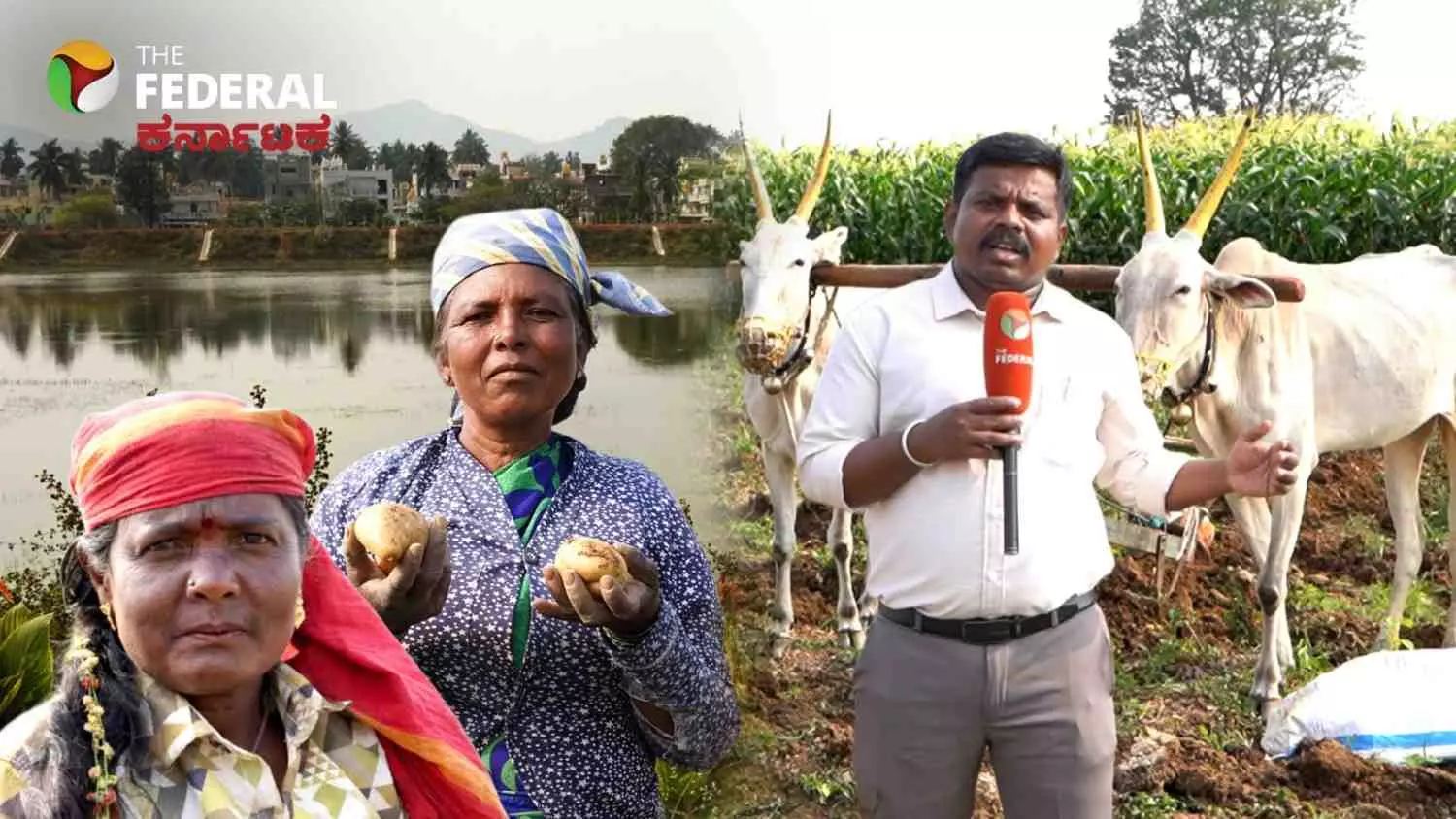 K.C. Valley Project: Fear of toxic elements in vegetables after groundwater increase K.C. Valley Project: Fear of toxic elements in vegetables after groundwater increase