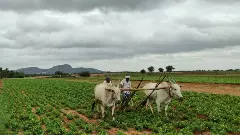 Karnataka Budget 2026: Rs 30,000 crore zero interest loan for farmers