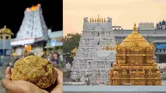 ಟ್ಯಾಂಕರ್ ಪಲ್ಟಿ: ತಿರುಪತಿಯಲ್ಲಿ ಲಡ್ಡು ಪ್ರಸಾದಕ್ಕೆ ತುಪ್ಪದ ಕೊರತೆ ಇದೆಯೇ? ಟಿಟಿಡಿ ಸ್ಪಷ್ಟನೆ ಏನು?