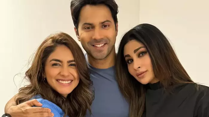 ಟಾಕ್ಸಿಕ್ ಎಫೆಕ್ಟ್| ವರುಣ್ ಧವನ್ ನಟನೆಯ ಹೈ ಜವಾನಿ ತೋ ಇಷ್ಕ್ ಹೋನಾ ಹೈ ರಿಲೀಸ್ ಮುಂದೂಡಿಕೆ