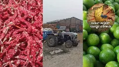 Israel-Iran War Impact|ಬ್ಯಾಡಗಿ ಮೆಣಸಿನಕಾಯಿ,  ಇಂಡಿ ನಿಂಬೆ, ಅಕ್ಕಿ ರಫ್ತು ಅಸ್ತವ್ಯಸ್ತ