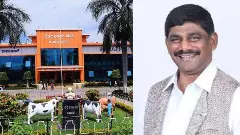 KMF: ಬಮೂಲ್ ರೈತರಿಗೆ ಯುಗಾದಿ ಬಂಪರ್: ಲೀಟರ್​ಗೆ 1 ರೂ.  ಪ್ರೋತ್ಸಾಹ ಧನ, ನೌಕರರಿಗೆ ಬೋನಸ್