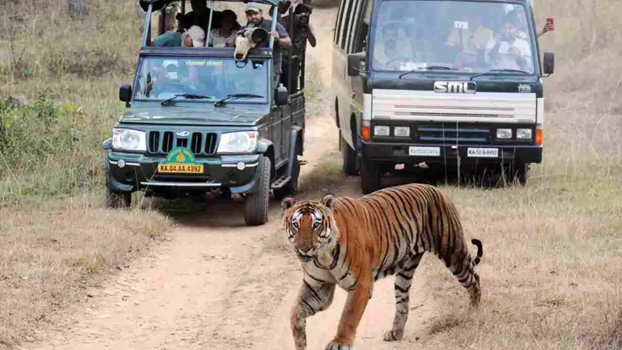 ಬಂಡೀಪುರ, ನಾಗರಹೊಳೆ ಸಫಾರಿ ಸ್ಥಗಿತ ಸಮರ್ಥಿಸಿಕೊಂಡ ಈಶ್ವರ ಖಂಡ್ರೆ