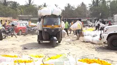 The flower, which has become famous in India and abroad, has no home base, Chikkaballapur farmers are struggling to find a market!