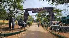 ಬಿಆರ್‌ಟಿ ಹುಲಿಧಾಮ: 5 ತಿಂಗಳ ಬಳಿಕ ಕಾವಲುಗಾರರಿಗೆ ವೇತನ! ಪ್ರತಿಭಟನೆ ವಾಪಸ್