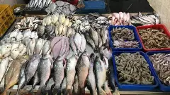 LPG Shortage| ಎಲ್‌ಪಿಜಿ ಸಿಲಿಂಡರ್ ಅಭಾವ: ಕಳೆಗುಂದಿದ ಮಾಂಸದ ಮಾರುಕಟ್ಟೆ, ಶೇ. 30ರಷ್ಟು ವ್ಯಾಪಾರ ಕುಸಿತ