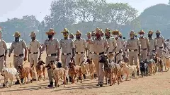 Police Dog Squad:  ಪೊಲೀಸರ ಜತೆ ನಾಯಿಗಳಿಗೂ ಡ್ಯೂಟಿ ಟೆನ್ಷನ್:  ಒತ್ತಡಕ್ಕೆ ಬಲಿಯಾಗುತ್ತಿವೆ ಶ್ವಾನಗಳು!