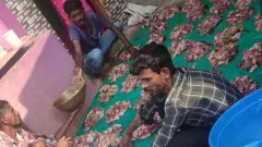 ಯುಗಾದಿ ಹೊಸತೊಡಕು; ಮಾಂಸಕ್ಕಾಗಿ ಚೀಟಿ, ಗುಡ್ಡೆ ಬಾಡಿಗೆ ಡಿಮ್ಯಾಂಡ್‌