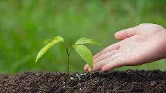 ಅನಿಲ ಕೊರತೆ ನಡುವೆಯೂ ರೈತರಿಗೆ ಅಭಯ: ಯೂರಿಯಾ ಉತ್ಪಾದನೆ ಶೇ. 23 ಹೆಚ್ಚಳ; ಭಾರತದ ತಂತ್ರವೇನು?