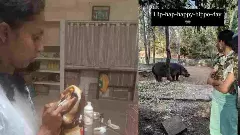 Hippopotamus Attack| ನೀರಾನೆ ದಾಳಿಗೆ ಡಾ. ಸಮೀಕ್ಷಾ ಸಾವು; ತಪಾಸಣೆಗೆ ಕಳುಹಿಸಿದ್ದ ಅಧಿಕಾರಿ ಯಾರು?