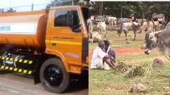 ರಾಜ್ಯದಲ್ಲಿ ಭೀಕರ ಬರಗಾಲದ ಮುನ್ಸೂಚನೆ: ನೀರು ಮತ್ತು ಮೇವಿಗಾಗಿ ಹಾಹಾಕಾರ?