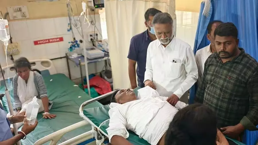 Davangere: Horrific swarm of bees attacks during Eid-ul-Fitr prayers, injuring over 50 people Davangere: Horrific swarm of bees attacks during Eid-ul-Fitr prayers, injuring over 50 people