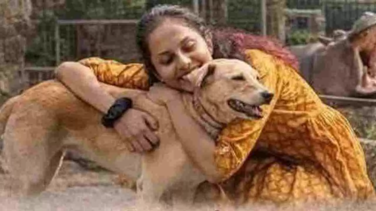 ನೀರಾನೆ ತುಳಿದು ವೈದ್ಯೆ ಸಮೀಕ್ಷಾ ಸಾವು: ಗೊಂದಲದ ಹೇಳಿಕೆ ನೀಡಿದ ವೈದ್ಯರು! ಹಲವರ ಅಸಮಾಧಾನ ನೀರಾನೆ ತುಳಿದು ವೈದ್ಯೆ ಸಮೀಕ್ಷಾ ಸಾವು: ಗೊಂದಲದ ಹೇಳಿಕೆ ನೀಡಿದ ವೈದ್ಯರು! ಹಲವರ ಅಸಮಾಧಾನ