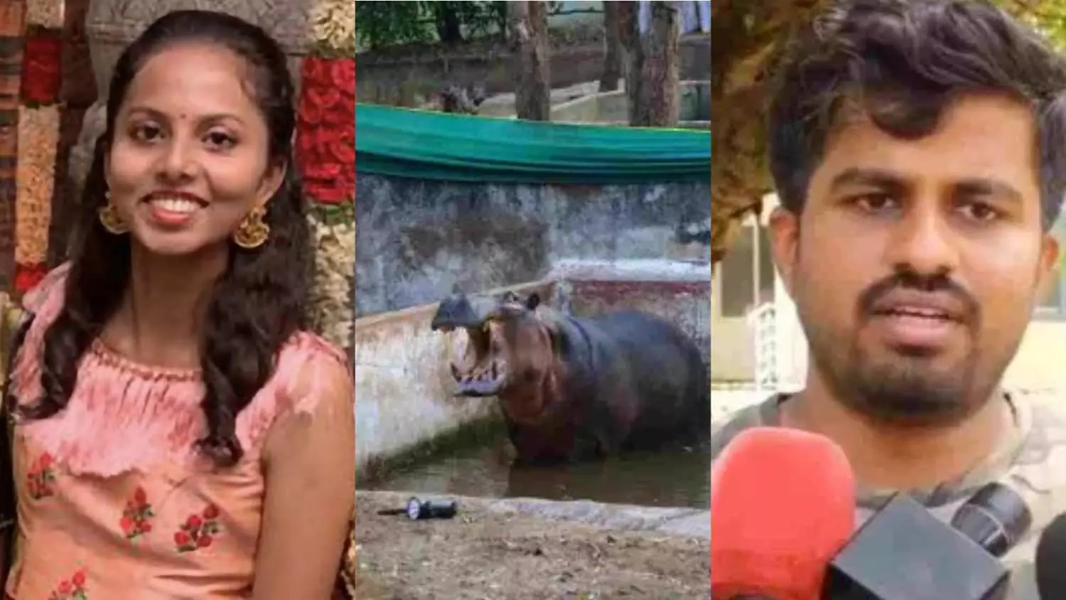 Hippopotamus Attack| ನೀರಾನೆ ದಾಳಿಯಿಂದ ಡಾ. ಸಮೀಕ್ಷಾ ಸಾವು: ಘಟನೆ ಹಿಂದಿದೆ ಥರ್ಮಲ್ ಕ್ಯಾಮೆರಾ ರಹಸ್ಯ Hippopotamus Attack| ನೀರಾನೆ ದಾಳಿಯಿಂದ ಡಾ. ಸಮೀಕ್ಷಾ ಸಾವು: ಘಟನೆ ಹಿಂದಿದೆ ಥರ್ಮಲ್ ಕ್ಯಾಮೆರಾ ರಹಸ್ಯ