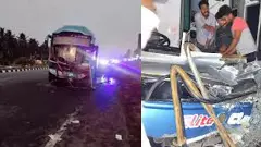 Bus driver crashes into divider while asleep, killing four