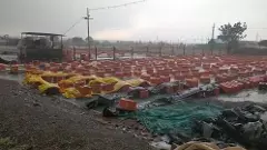 ಉ.ಕರ್ನಾಟಕದ ರೈತರಿಗೆ ಬರೆ ಎಳೆದ ಆಲಿಕಲ್ಲು: ಕೈಗೆ ಬಂದ ದ್ರಾಕ್ಷಿ ಬಾಯಿಗೆ ಬರಲಿಲ್ಲ!