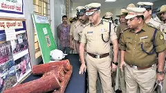 Illegal blood sandalwood sales network discovered in the city, 285 kg. Pieces seized