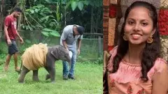 Hippopotamus Attack| ಡಾ. ಸಮೀಕ್ಷಾ ದುರಂತ: ಬಯಲಾಯ್ತು ಸತ್ಯ! ರಾಜ್ಯ ಮೃಗಾಲಯಗಳಲ್ಲಿ ವೈದ್ಯರಿಗೆ ಎಸ್‌ಒಪಿಯೇ ಇಲ್ಲ!