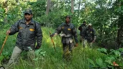 Job News | Applications invited for 196 posts in Andaman Forest Department, selection without written test!