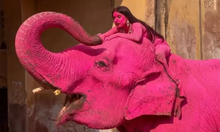 Viral News|ಗುಲಾಬಿ ಬಣ್ಣದ ಆನೆಯ ಮೇಲೆ ಕುಳಿತು ವಿದೇಶಿ ಯುವತಿಯ ಅಶ್ಲೀಲ ಫೋಟೋಶೂಟ್ Viral News|ಗುಲಾಬಿ ಬಣ್ಣದ ಆನೆಯ ಮೇಲೆ ಕುಳಿತು ವಿದೇಶಿ ಯುವತಿಯ ಅಶ್ಲೀಲ ಫೋಟೋಶೂಟ್