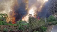 ಬಿಆರ್‌ಟಿ ಹುಲಿ ಸಂರಕ್ಷಿತಾರಣ್ಯದಲ್ಲಿ ಮತ್ತೆ ಭಾರಿ ಕಾಡ್ಗಿಚ್ಚು: 35 ಎಕರೆಗೂ ಹೆಚ್ಚು ಅರಣ್ಯ ಭಸ್ಮ