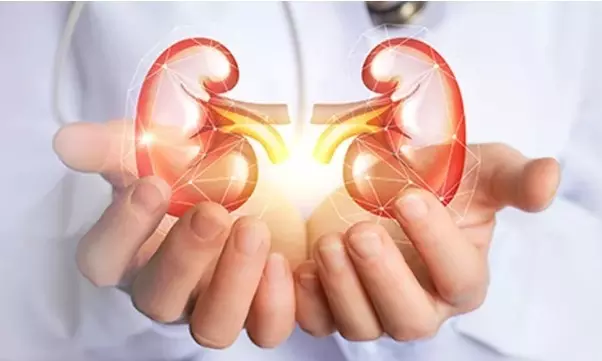 ಮೂತ್ರಪಿಂಡ ರೋಗಿಗಳಿಗೆ ವರವಾದ ಹೊಸ ಮಾರ್ಗಸೂಚಿ; ಇನ್ಮುಂದೆ ಬಹು ಜೋಡಿ ವಿನಿಮಯ ಕಸಿಗೆ ಅವಕಾಶ! ಮೂತ್ರಪಿಂಡ ರೋಗಿಗಳಿಗೆ ವರವಾದ ಹೊಸ ಮಾರ್ಗಸೂಚಿ; ಇನ್ಮುಂದೆ ಬಹು ಜೋಡಿ ವಿನಿಮಯ ಕಸಿಗೆ ಅವಕಾಶ!