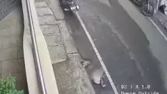 ಬೆಂಗಳೂರಿನಲ್ಲಿ 3ನೇ ಮಹಡಿಯಿಂದ ಬಿದ್ದ ಮಗು; ಘೋರ ದುರಂತ ಕಂಡು ಪ್ರಜ್ಞೆ ತಪ್ಪಿದ ತಾಯಿ