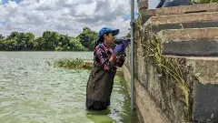 ಕೆರೆಯಿಂದ ಕೆರೆಗೆ ಸಾಗುತ್ತಿವೆ ಕೊಳಚೆ ನೀರು! ಹೆಬ್ಬಾಳ-ನಾಗವಾರ ಕಣಿವೆಯ 44 ಕೆರೆಗಳ ವ್ಯಥೆಯ ಕಥೆ!