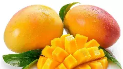 ಭಾರತೀಯರ ಮಾವಿನ ಪ್ರೇಮ: ವರ್ಷಕ್ಕೆ ಒಬ್ಬ ವ್ಯಕ್ತಿಯಿಂದ 140 ಹಣ್ಣುಗಳು ಗುಳುಂ!