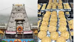 Tirupati sets record in laddu sales: Worlds richest temple distributes 14 crore laddus
