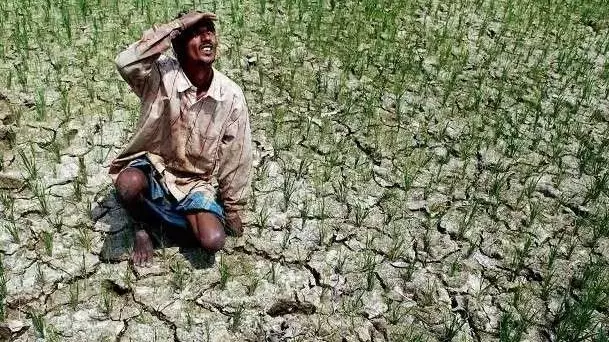 Monsoon 2026: Less rain this year, worries for the agriculture sector Monsoon 2026: Less rain this year, worries for the agriculture sector
