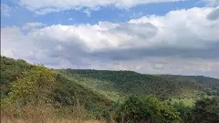 ಕಲಬುರ್ಗಿ ಕಾಡು ಇನ್ನು ರಕ್ಷಿತಾರಣ್ಯ! ಮೀಸಲು ಅರಣ್ಯವಾಗಿ ವನ್ಯಜೀವಿ ಮಂಡಳಿ ಸಭೆ ನಿರ್ಧಾರ