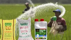 ರಸಗೊಬ್ಬರದ ಜತೆ ಇತರೆ ಉತ್ಪನ್ನಗಳ ಕಡ್ಡಾಯ ಖರೀದಿ;  ದೇಶಾದ್ಯಂತ ಕೃಷಿ ಪರಿಕರ ಮಾರಾಟಗಾರರ ಮುಷ್ಕರ ನಾಳೆ