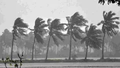 Karnataka Weather |ರಾಜ್ಯಾದ್ಯಂತ ಮುಂದಿನ 5 ದಿನ ಗುಡುಗು ಸಹಿತ ಭಾರಿ ಮಳೆ; ಹಲವೆಡೆ ಯೆಲ್ಲೋ ಅಲರ್ಟ್ ಘೋಷಣೆ!