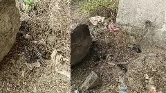 ಬಂಗಾರಪೇಟೆ ಗಡಿಭಾಗದಲ್ಲಿ 214 ಬಂದೂಕು ಗುಂಡುಗಳು ಪತ್ತೆ;  ತನಿಖೆ ಚುರುಕು
