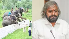 ಹಾಸನ, ಕೊಡಗು, ಚಿಕ್ಕಮಗಳೂರು ಭಾಗದಲ್ಲಿ 2 ಸಾವಿರ ಹೆಕ್ಟೇರ್ನಲ್ಲಿ ಆನೆಧಾಮ ನಿರ್ಮಾಣ ಹಾಸನ, ಕೊಡಗು, ಚಿಕ್ಕಮಗಳೂರು ಭಾಗದಲ್ಲಿ 2 ಸಾವಿರ ಹೆಕ್ಟೇರ್ನಲ್ಲಿ ಆನೆಧಾಮ ನಿರ್ಮಾಣ