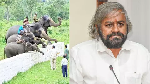 ಹಾಸನ, ಕೊಡಗು, ಚಿಕ್ಕಮಗಳೂರು ಭಾಗದಲ್ಲಿ 2 ಸಾವಿರ ಹೆಕ್ಟೇರ್ನಲ್ಲಿ ಆನೆಧಾಮ ನಿರ್ಮಾಣ ಹಾಸನ, ಕೊಡಗು, ಚಿಕ್ಕಮಗಳೂರು ಭಾಗದಲ್ಲಿ 2 ಸಾವಿರ ಹೆಕ್ಟೇರ್ನಲ್ಲಿ ಆನೆಧಾಮ ನಿರ್ಮಾಣ