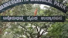 ಬನ್ನೇರುಘಟ್ಟದಲ್ಲಿ ಜನಿಸಿದ ನೀರಾನೆಗೆ ಸಮೀಕ್ಷಾರೆಡ್ಡಿ ಹೆಸರು ನಾಮಕರಣ