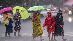 Red alert for the coast, cold with storms in the plains including Bengaluru