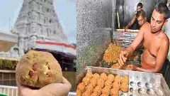 ತಿರುಪತಿ ಲಡ್ಡು ತುಪ್ಪದಲ್ಲಿ ಕಲಬೆರಕೆ ಆರೋಪ: ಇ.ಡಿ ತನಿಖೆಯಲ್ಲಿ ಆಘಾತಕಾರಿ ಸಂಗತಿ ಬಯಲು