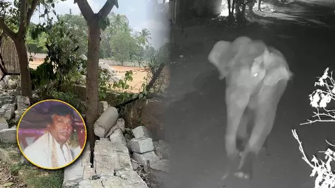 ಬೆಂಗಳೂರು ಸಿಟಿಗೆ ನುಗ್ಗಿದ ಒಂಟಿ ಸಲಗ : ಆನೆ ದಾಳಿಗೆ ವ್ಯಕ್ತಿ ಸಾವು